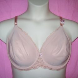 VS_Dream_Angels_Full_Coverage_Bra_Nude