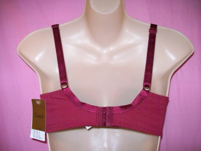 Chantelle_Bastille_Full_Coverage_Demi_Bra_3995_burgundy_back