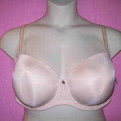 Parisa_Fe_Strapless_PT1026