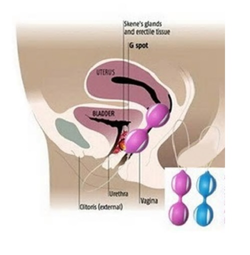 Kegel-pleasure-balls-diagram